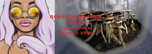 Альфа ПВП Новозыбков