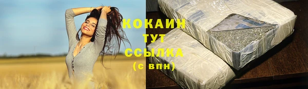 ГАЛЛЮЦИНОГЕННЫЕ ГРИБЫ Остров
