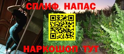 дмт Бузулук