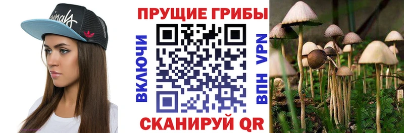 Псилоцибиновые грибы мухоморы  цена наркотик  MEGA вход  Заводоуковск 