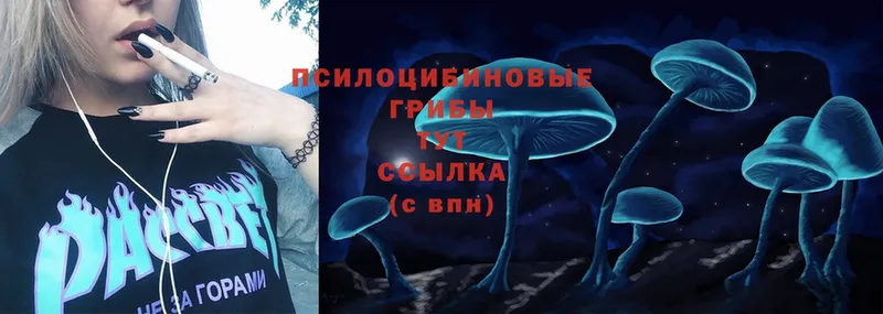 kraken зеркало  Заводоуковск  Псилоцибиновые грибы Cubensis 