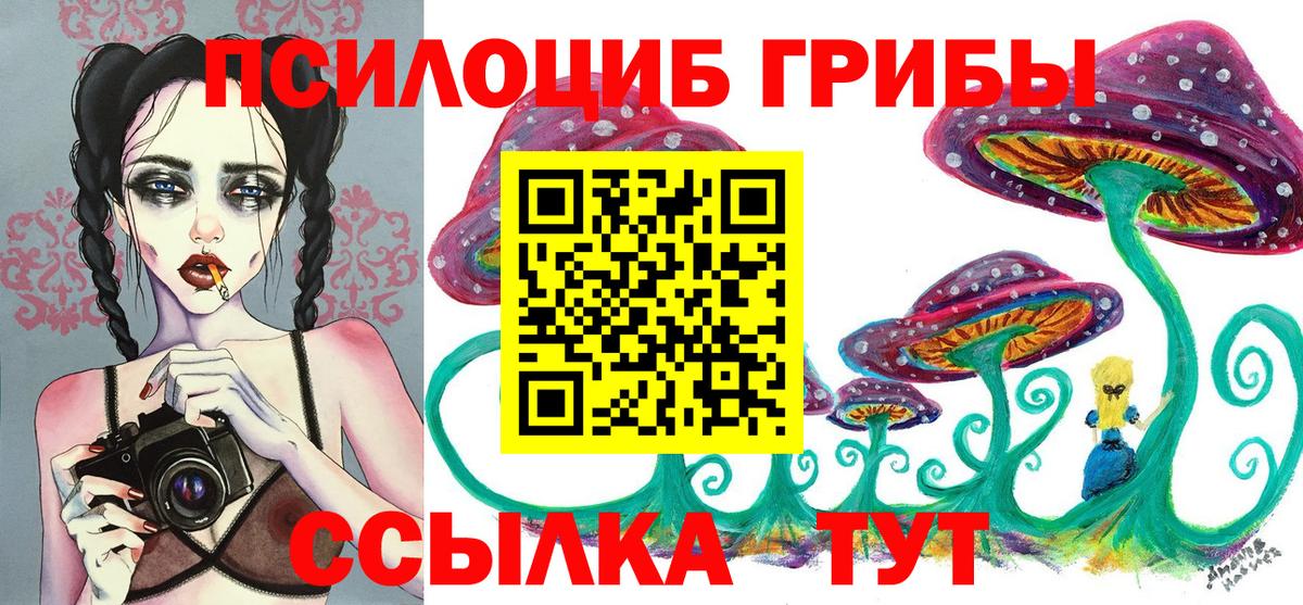 Псилоцибиновые грибы мицелий  Заводоуковск 