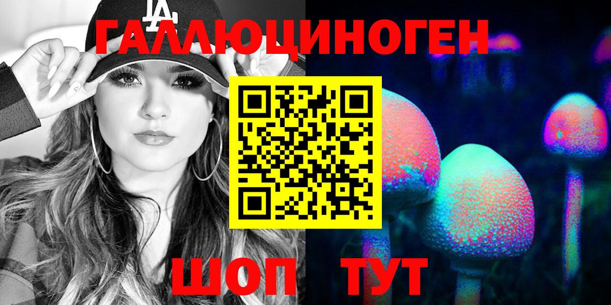 Галлюциногенные грибы Psilocybe Заводоуковск