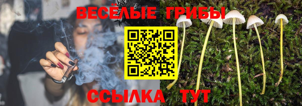 Заводоуковск  Псилоцибиновые грибы мицелий  Вход с VPN 