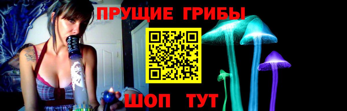 Псилоцибиновые грибы ЛСД Заводоуковск
